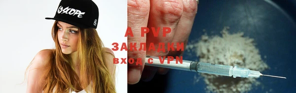 крисы Алексин