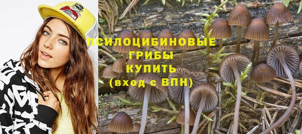 крисы Алексин